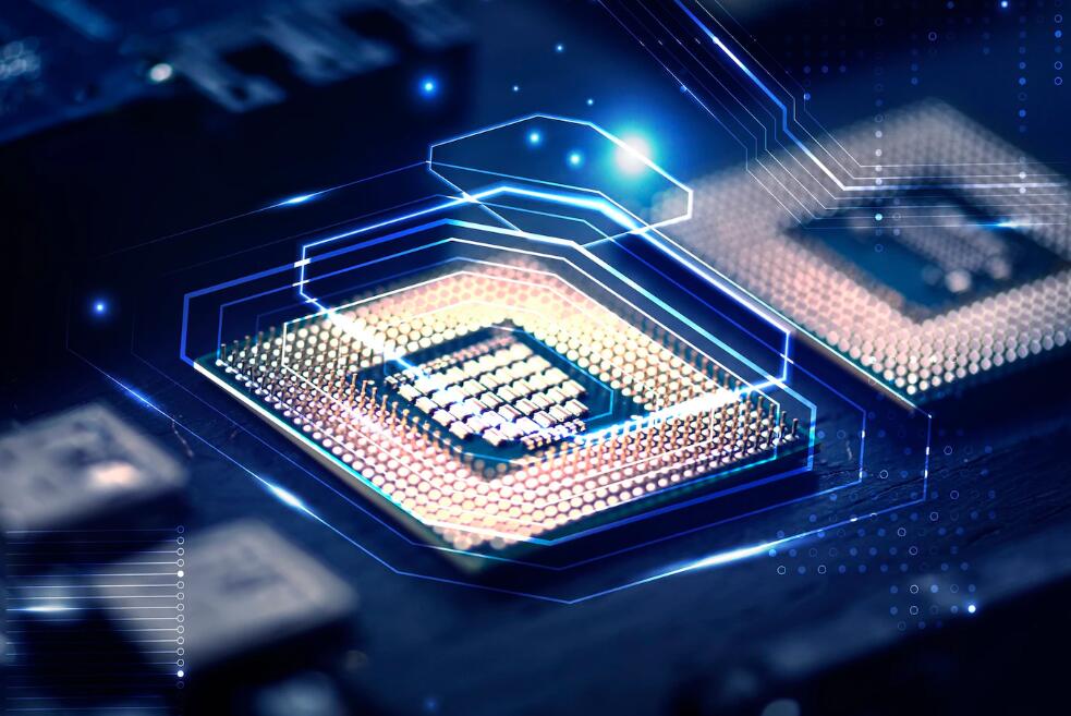 东京奥运会女排第一名是哪个国家 东京奥运冠军女排哪个国家